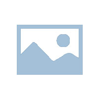 审计报告是什么？